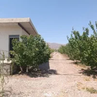 فروش ویژه باغ میوه در منطقه آزاد جلفا دشت گلفرج|فروش خانه و ویلا|جلفا, |دیوار