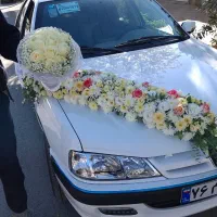 گل پیچک|گل و گیاه طبیعی|نجف‌آباد, جلال آباد|دیوار