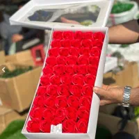 پخش عمده گل صابونی|گل مصنوعی|رباطکریم, شترخوار|دیوار