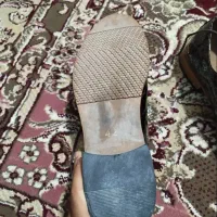 ...|کیف، کفش، کمربند|ایرانشهر, |دیوار