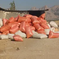 فروش کاه سفید