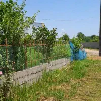 فروش زمین ۳۳۳متری در گیلان|فروش زمین و ملک کلنگی|آستانه اشرفیه, |دیوار