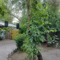 فروش باغچه یا تهاتر ملک در قم|فروش خانه و ویلا|خلجستان, |دیوار