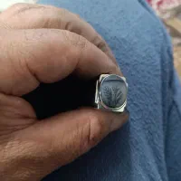 انگشتر شجر قائن