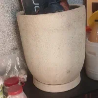 گلدان|گل و گیاه طبیعی|تهران, مخصوص|دیوار