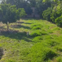 فروش-باغ-مکانی-بسیار-آرامش-بخش