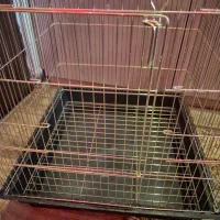 قفس بزرگ پرنده|لوازم جانبی حیوانات|اهواز, کیانپارس |دیوار