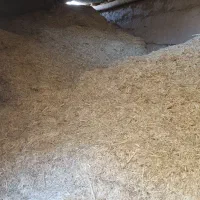 کاه کمباین کوب گندم|حیوانات مزرعه|اسفراین, |دیوار