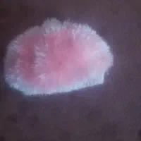 کلاه بچه گانه یوموش