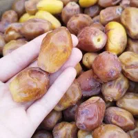 خرما زاهدی تمر زهدی