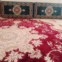 دوجفت پشتی سالم