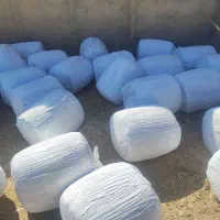 فروش تفاله تر چغندر بسته بندی وفله عمده وخورده|حیوانات مزرعه|اقلید, |دیوار