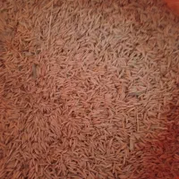 جو در خدمات کشاورزی