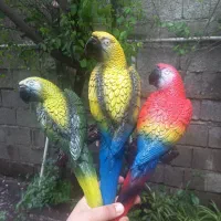 مجسمه طوطی پلی استر