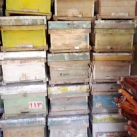 جعبه زنبور و قاب