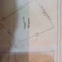 زمین مزروعی تجاری