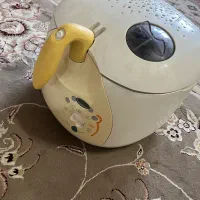 سرخکن نو