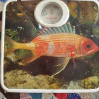 ترازو وزن کشی قدیمی|تجهیزات ورزشی|کوهدشت, |دیوار