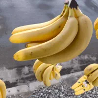 در جستجوی همکار