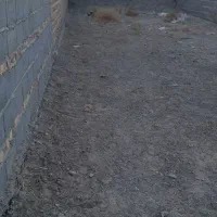 زمین ۱۷۵متری چاه رحمان