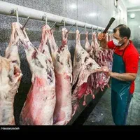 دفع بلاو چش زخم واج نه باذبح مرغ خونی خروس گوسفند|حیوانات مزرعه|مشهد, سرافرازان|دیوار