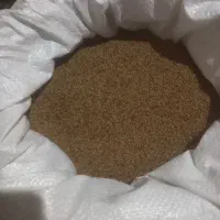 بزر یونجه|خدمات باغبانی و درختکاری|بیجار, |دیوار