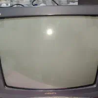 تلویزیون
