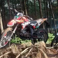 تریل t4 تی فور