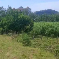 زمین ۱۳۸۷ متری جاده شیرگاه  / ۳۵۰ متر مسکونی