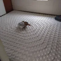 تعمیر پکیج لوله کشی سرد و گرم گرمایش کف رادیاتور|آبگرمکن، پکیج، شوفاژ|قزوین, |دیوار