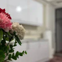 سوییت شیک و تمیز