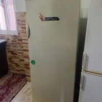 یخچال ارج سالم
