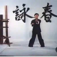 آموزش هنر های رزمی وینگ چون