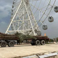 درخت نخل خوب میخای ما رو پیدا کن|خدمات باغبانی و درختکاری|آبپخش, |دیوار