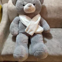 یک خرس پشمالو زیبا|کلکسیون و سرگرمی|زاهدان, |دیوار