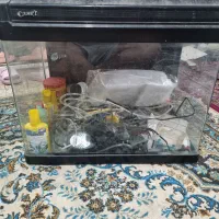 آکواریوم کمری