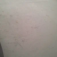 موکت طوسی رنگ|موکت|همدان, |دیوار