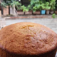 کیک های عصرانه مخصوص کافه|خوردنی و آشامیدنی|رشت, سلیمانداراب|دیوار