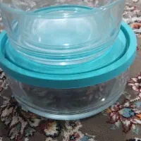 نگهدارنده غذا