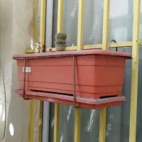 ۲۵ عدد گل و گلدان در حد نو یکجا بفروش میرسد