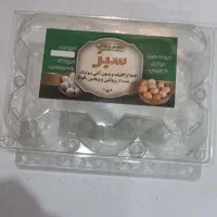 شانه تخم مرغ ۶عددی طلقی