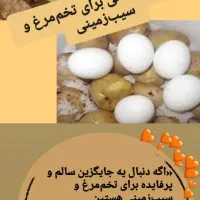 معجزه قرن|خوردنی و آشامیدنی|اصفهان, تخت فولاد|دیوار