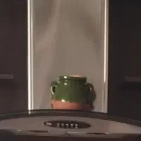 هود سالم و سلامت