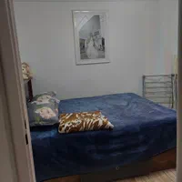 اجاره  ۷۵ متری تک واحدی قلیپور ابتدای گلزاران|اجارهٔ آپارتمان|رشت, گلزاران|دیوار