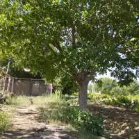 فروش باغ