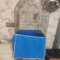 یک عدد قفس پرنده بزرگ