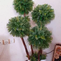 درختچه گل مصنوعی|گل مصنوعی|سنندج, |دیوار