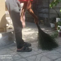 جارو سیخی
