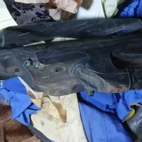 اگزوز فابریک سی بی ار cbr