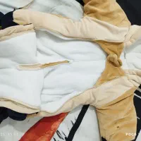 پالتو سرهمی|کفش و لباس بچه|سردشت, |دیوار